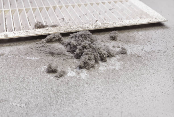 Best Commercial Air Duct Cleaning  in Portland, IN
