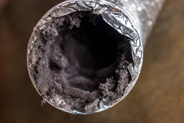 Best Local Air Duct Cleaning Services  in Portland, IN